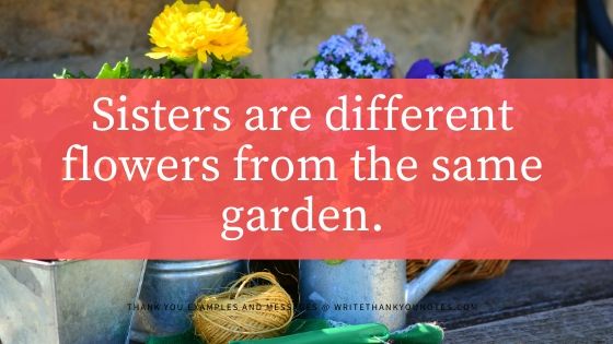 sisters are different flowers from the same garden