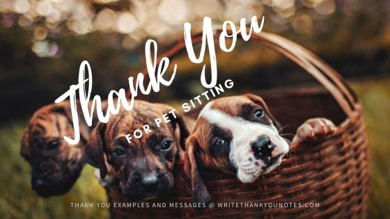 Pet Sitting Thank-You Note Examples (Thanks for looking after my dog, cat, rabbit, gerbil)