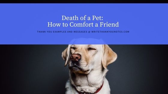 Death of a Pet: What to Write When Someone Loses a Pet