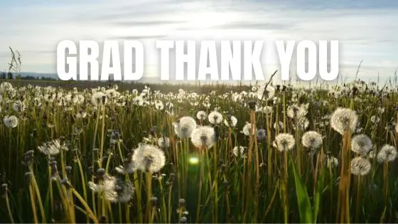 Grad thank you in a field of dandelions