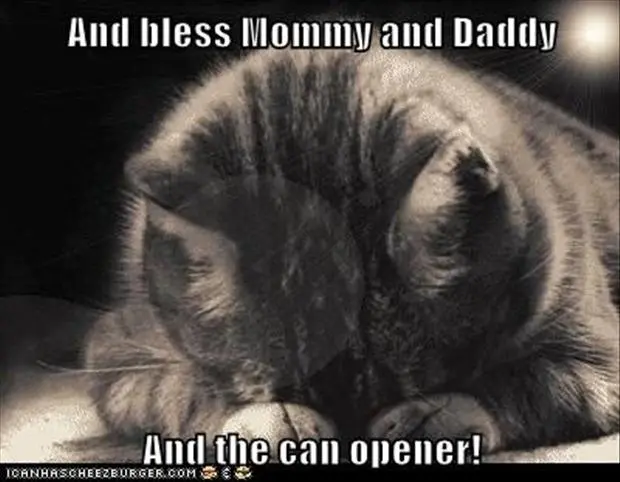 Cat: "And bless mommy and daddy. And the can opener.